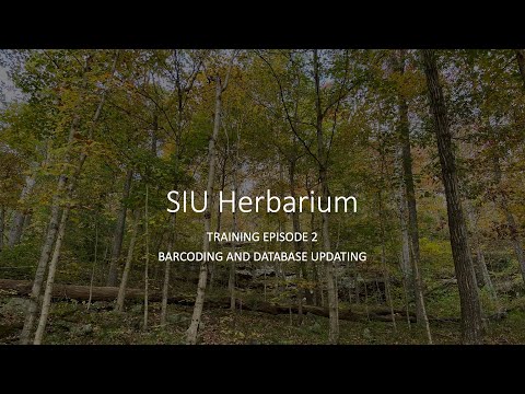Herbarium specimen barcoding